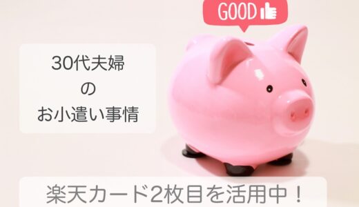 楽天カード２枚目は「お小遣い」用に【クレジットカード使い分け】