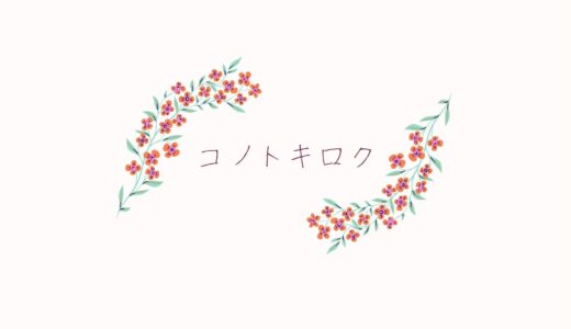 ＊ふるさと納税＊山形県酒田市からお米『はえぬき』が届きました！